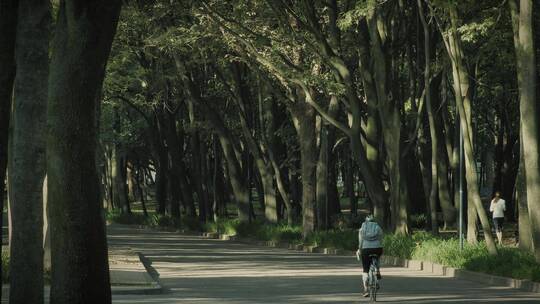 在林间小道跑步