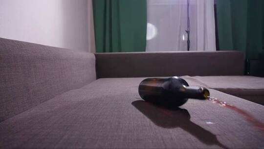 一瓶酒掉在沙发上洒了酒。
