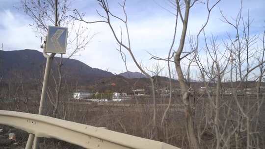 旅行 沿途 风景 公路 树