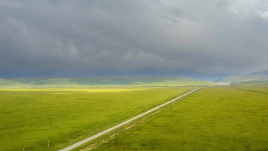 新疆大草原中的公路