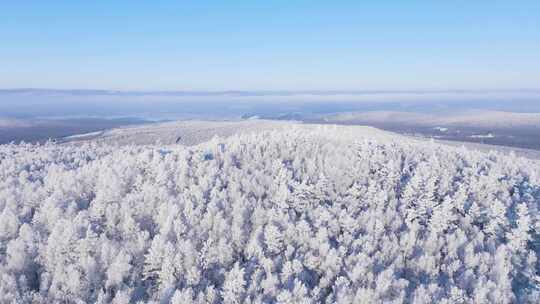 航拍林海雪原雾凇树冠250102-41