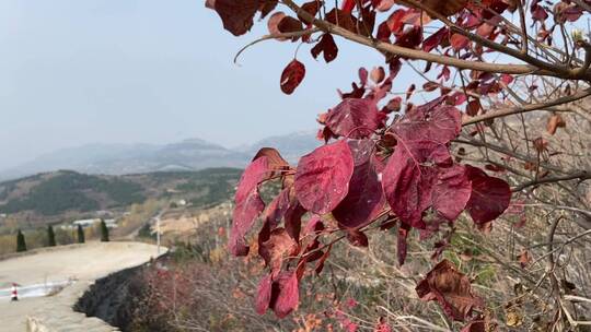 济南南部山区天井峪村，古朴的石头房子