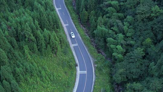 俯视山林蜿蜒公路后飞白色行车