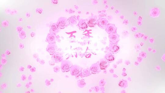 粉色玫瑰 婚礼 人物介绍 AE模板