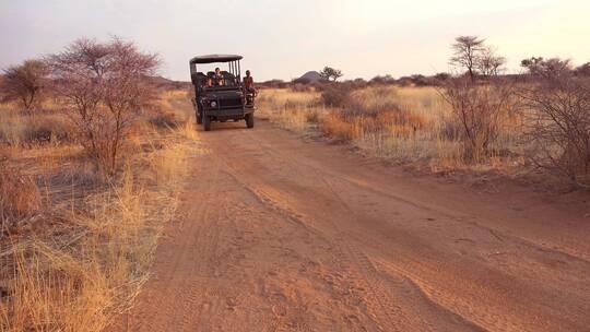 一辆狩猎吉普车经过纳米比亚非洲埃林迪公园的平原