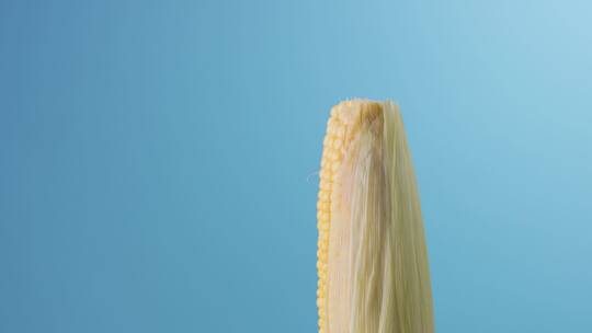 玉米 主食 绿色 健康 食品 特写视频素材模板下载