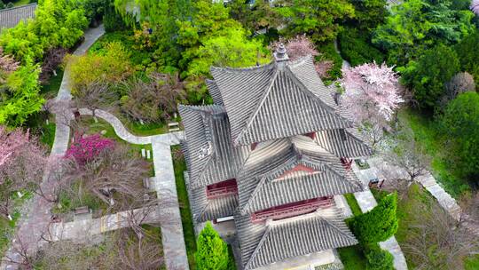 西安青龙寺