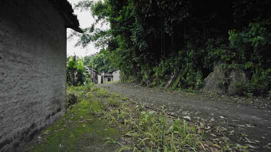 【正版素材】农村道路乡村幽静山村