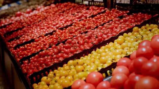 超市货架上的圣女果与番茄视频素材模板下载