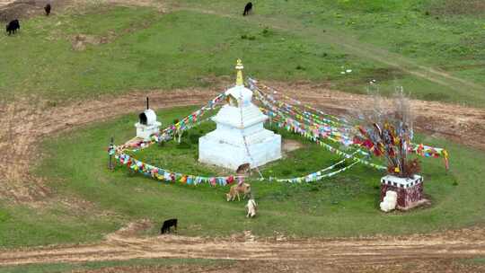 航拍西藏旅游高原草原牧场上的经幡佛塔