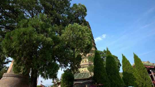 山西广胜寺飞虹塔实拍