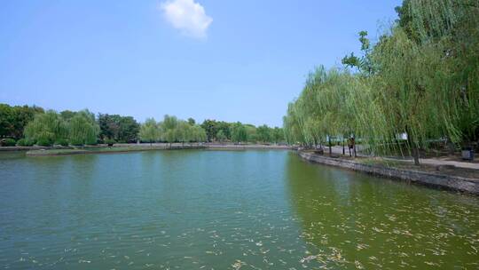 武汉蔡甸汤湖公园生态园林景观4K视频合集