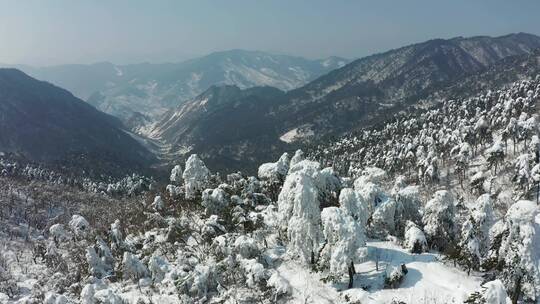 4K航拍 杭州临安百丈岭雪景风光