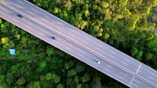 城市鸟瞰图，公路旁林立的高楼与绿植