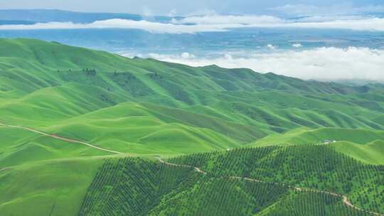 新疆天山草原风光