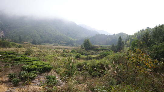 山区美景