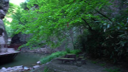 洛阳龙潭大峡谷旅游生态森林河流景点