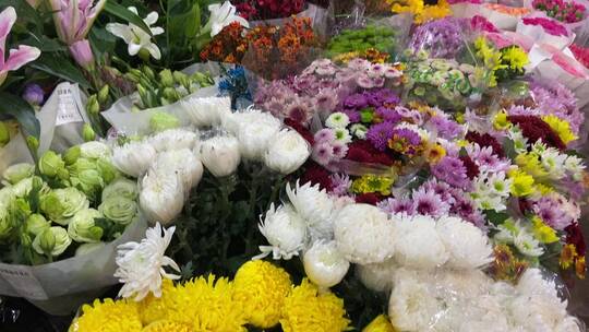 济南鲜花市场，百合、菊花、玫瑰花等视频素材模板下载