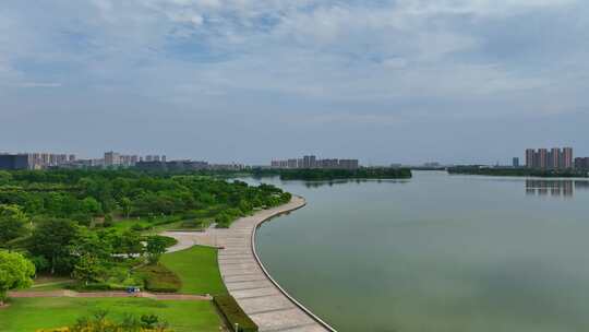 徐州市大龙湖风景区夏日荷花