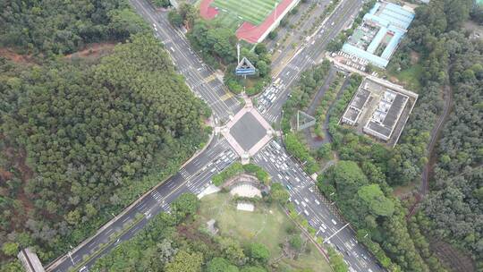 绿意盎然的城市道路