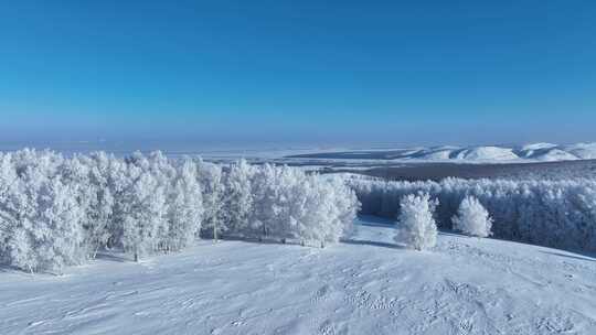 银装素裹的雪原白桦林风景