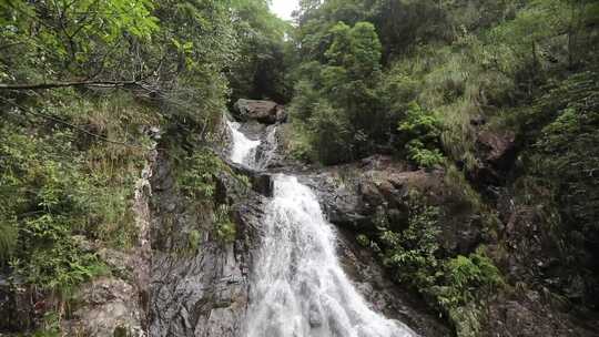 浙江温州泰顺县乌岩岭白天山涧流水视频素材模板下载