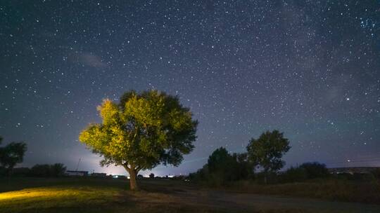 新疆阿勒泰夜晚一棵树星空银河自然风光延时