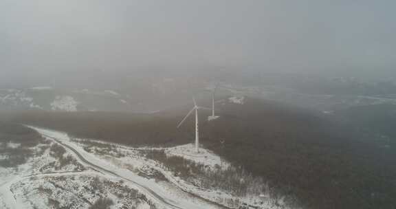 张家口崇礼雪山森林4k