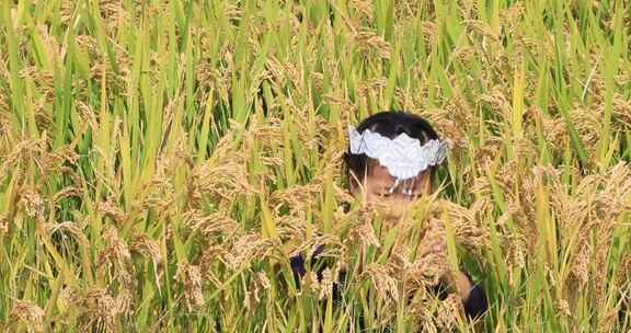 女孩在稻田中玩耍