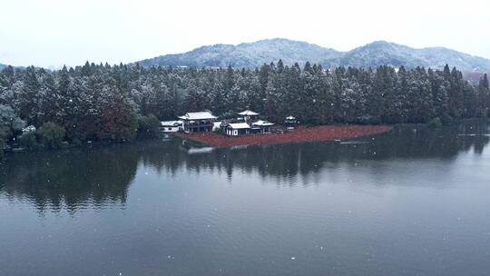 杭州西湖曲院风荷雪景