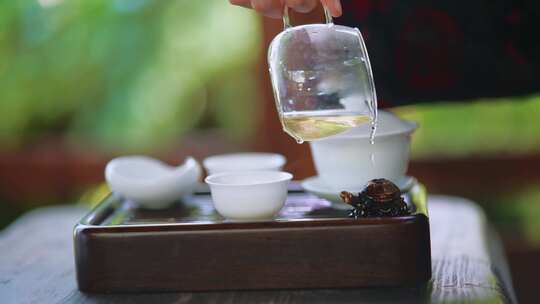 茶道 泡茶 中式茶艺