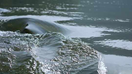 河流流水升格视频素材模板下载