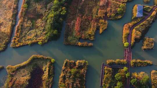 浙江省湖州市德清下渚湖湿地景区航拍视频素材模板下载