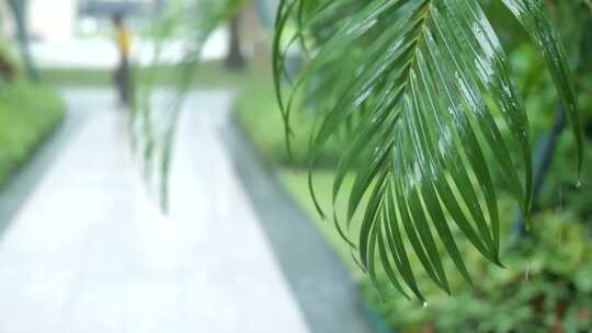 暴雨 雨天 下雨 情绪 雨滴