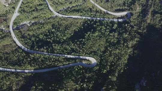 森林，道路，蜿蜒，顶级射击