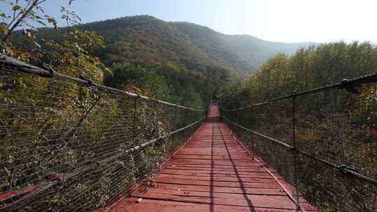 树林山间 栈道