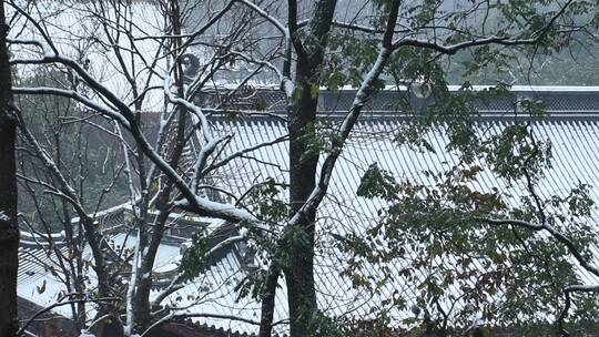 杭州上天竺法喜讲寺下雪天风景