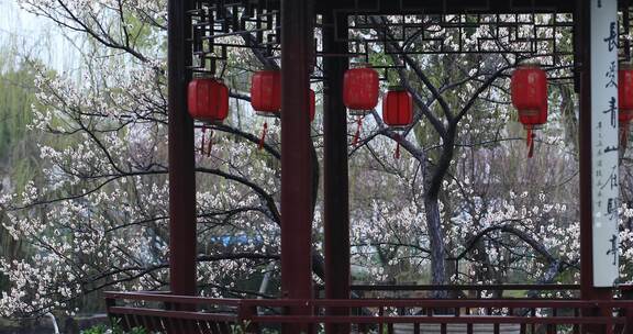 唯美梅花古亭古建筑局部特写