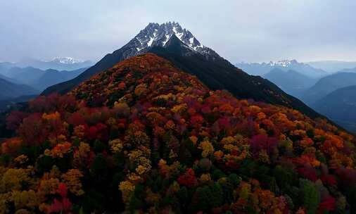 色彩斑斓的山林与积雪覆盖的山峰