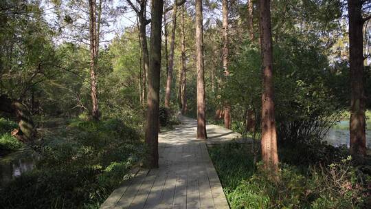 杭州西湖景区红栎山庄