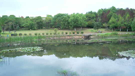 武汉江夏区藏龙岛国家湿地公园