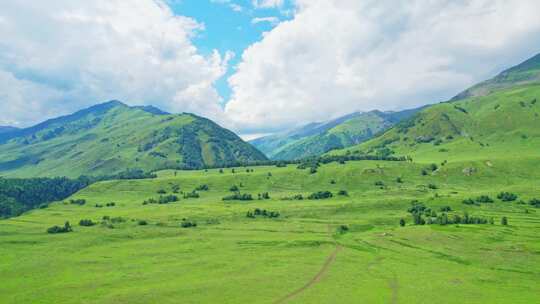 新疆北疆阿勒泰禾木村夏天高山草原风景航拍