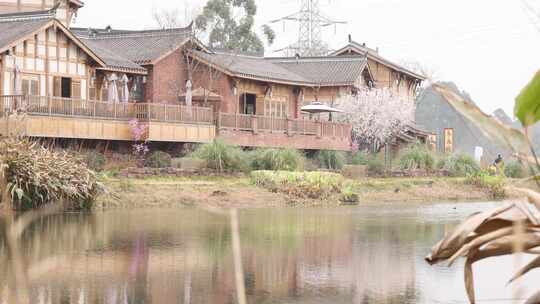 天府正兴 官塘新村 田园 春天 村落