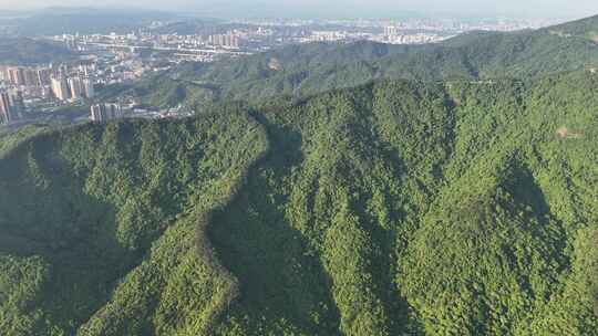 深圳阳台山森林公园