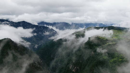 云南松茸航拍空镜群山盘山公路云雾