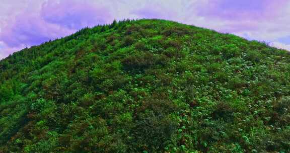 云南自然风光大山山上景观高山峡谷