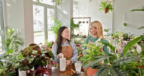 擦拭，浇水，植物，花店