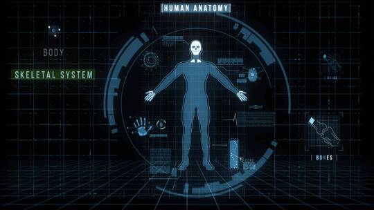 人体解剖系统
