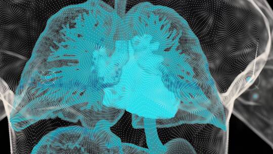 肺部生物科技人体扫描点模型蓝色三维渲染