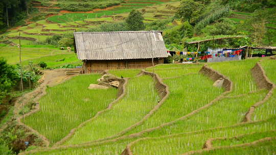 农场的房子被水稻梯田包围在山谷-萨帕越南3